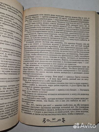 Книга. Лесной бродяга. Габриэль Ферри