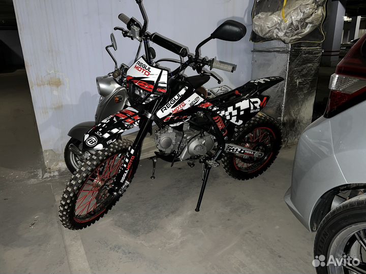 Regulmoto seven medalist 16/19