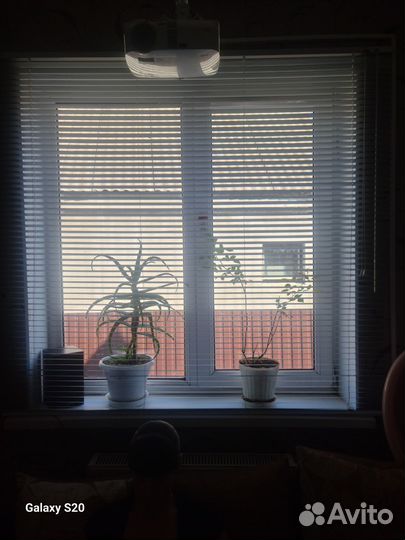 Жалюзи горизонтальные бу цена за пару