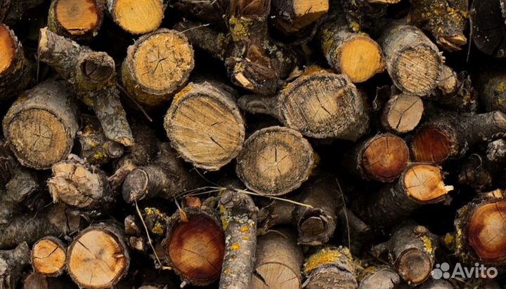 Дрова в область