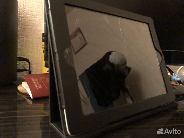 iPad 3 retina