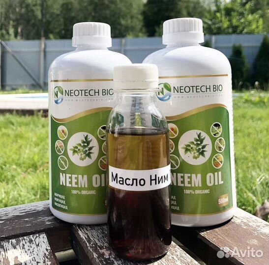 Масло Ним