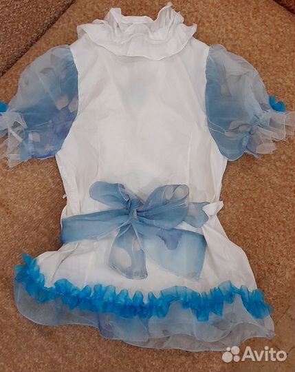 Костюм Мальвины в аренду