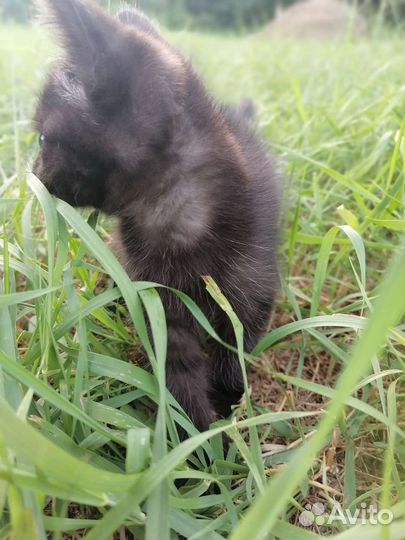 Подарите дом