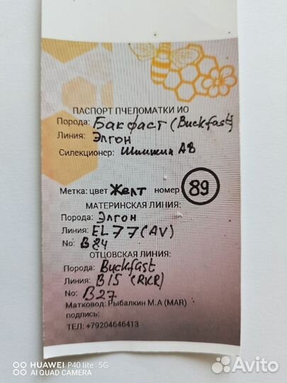 Пчелы с ульями