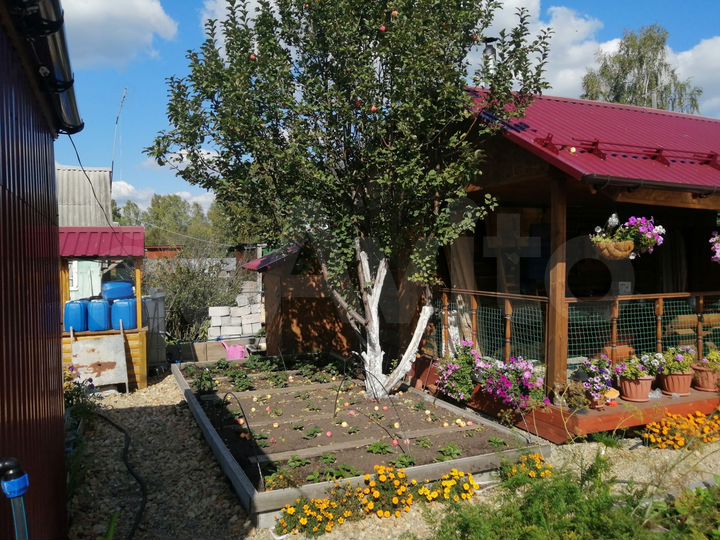 Дача 20 м² на участке 4,3 сот.