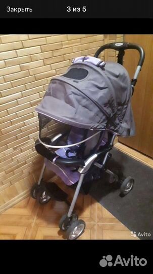 Коляска без залога прокат