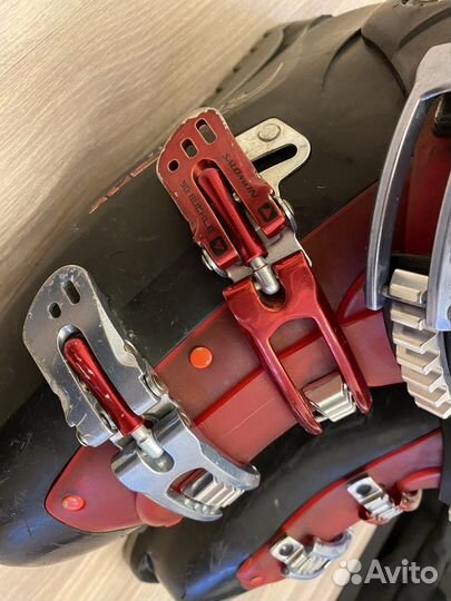 Горные лыжи fischer