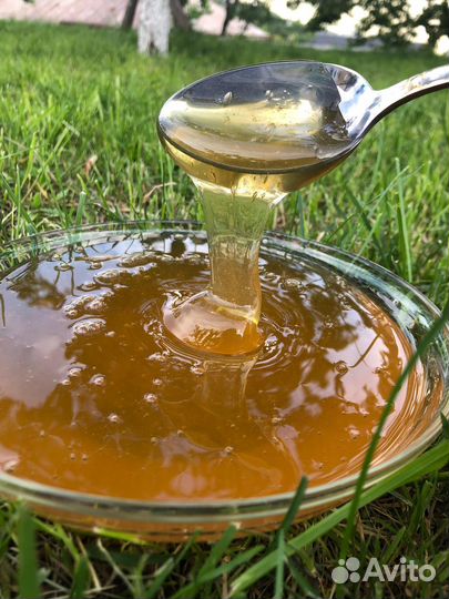 Мед из Дагестана