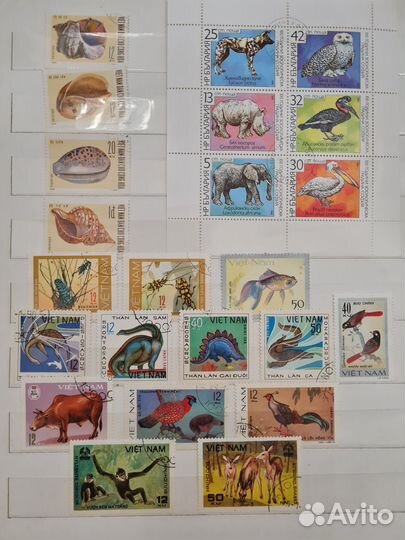 Почтовые марки фауна и флора