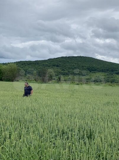 Участок 11 га (СНТ, ДНП)