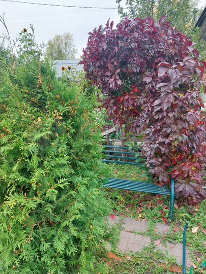 Дача 22 м² на участке 4,3 сот.