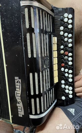 Баян концерт