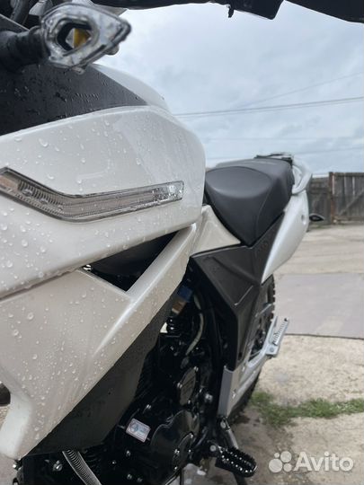 Racer ranger GY8