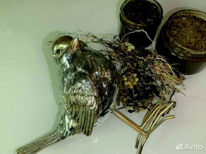 Пчелиный нектар для потенции