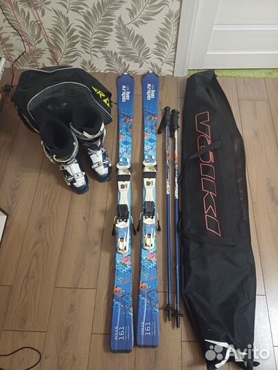 Горные лыжи