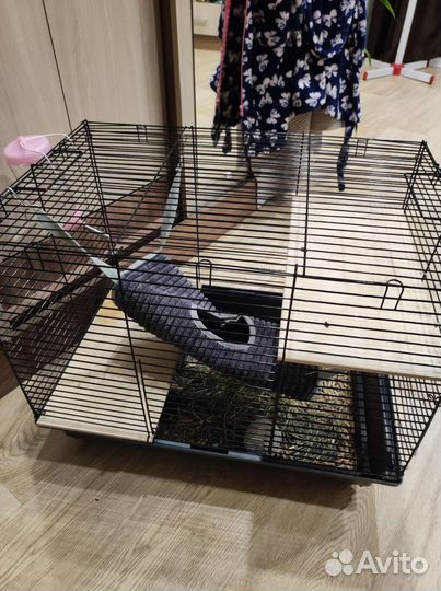 Клетка для грызунов бу