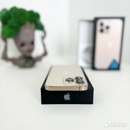 iPhone 13 Pro, 256 ГБ