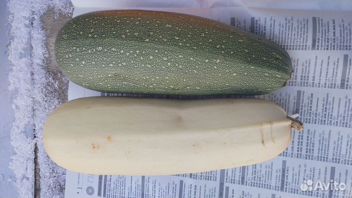 Кабачки, патисоны