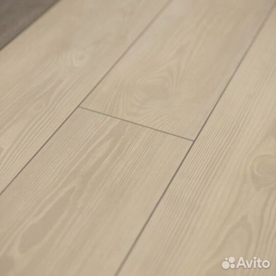 Дуб Дымчатый, планка 33 класс