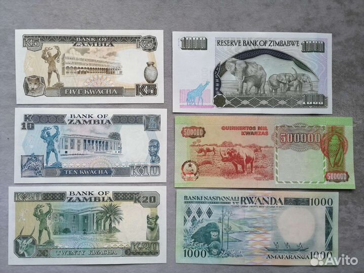 Африканские животные на банкнотах