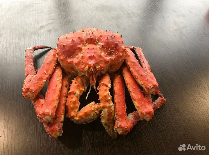 Краб Камчатский