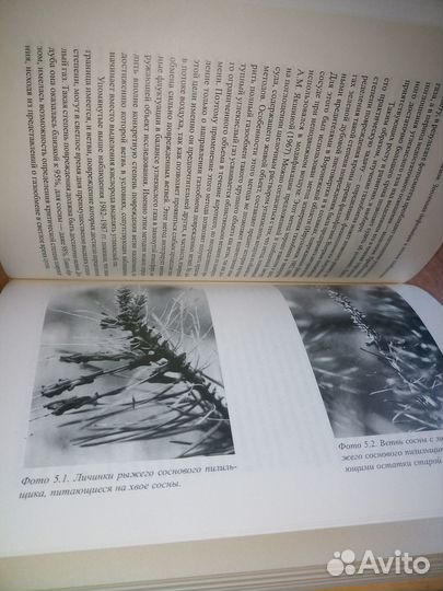 Зоогенная дефолиация и лесное сообщество