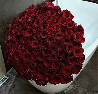 101 роза эквадор букет
