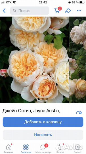 Чарльз Остин,Пэт Остин,Клер Остин и др