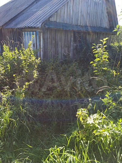 Дом 24 м² на участке 18 сот.