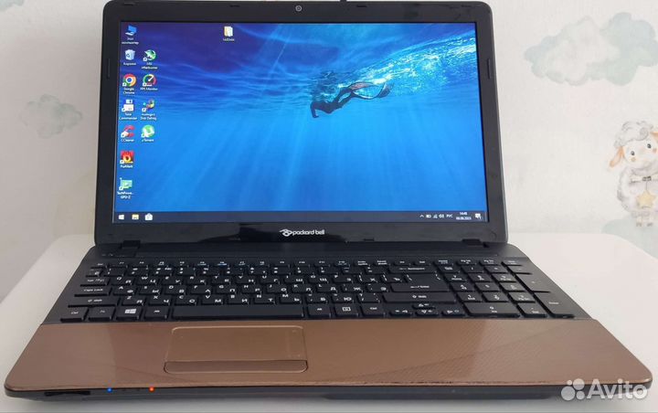 Packard bell 15,6