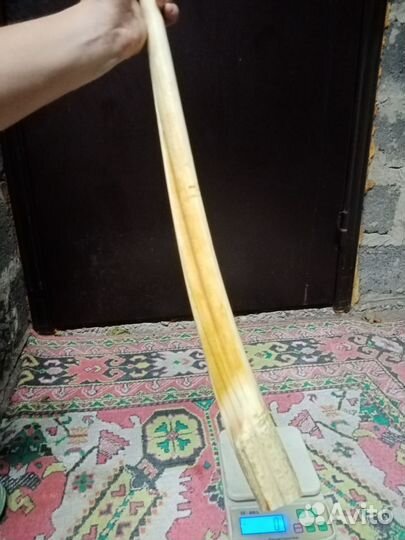 Бивень клык моржа имитация