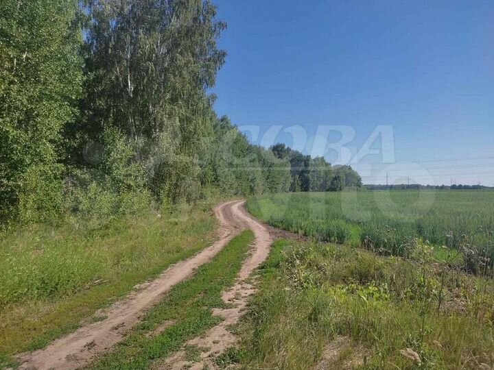 Участок 5,7 га (СНТ, ДНП)