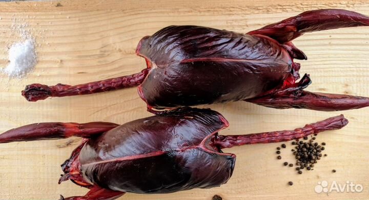 Тетерка без пера