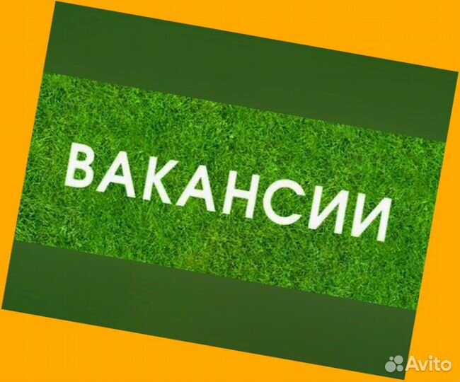 Продавец-консультант Выплаты в срок Гибкий график