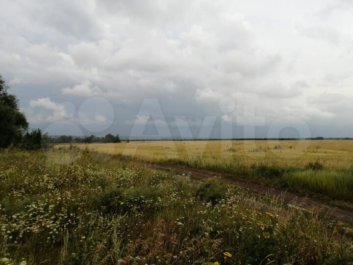 Участок 3,26 га (СНТ, ДНП)