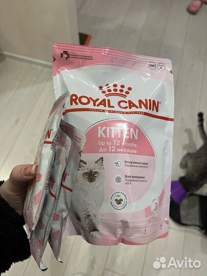 Корм для котят royal canin