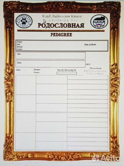 Родословная для кошки/Метрики/Сертификаты
