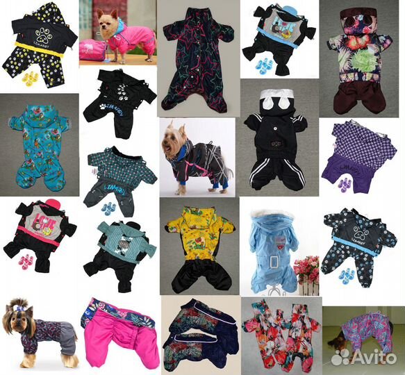 Одежда дождевики для собак