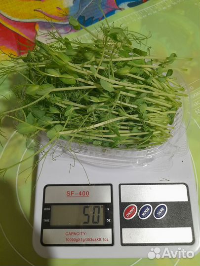 Продам микрозелень