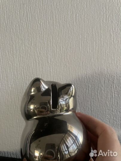 Милый котик