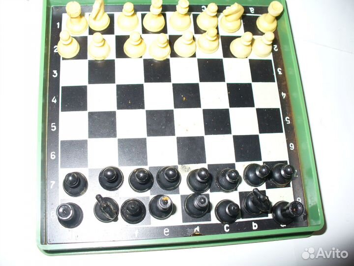 Шахматы 