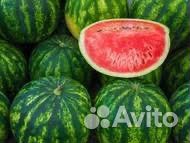 Арбуз оптом