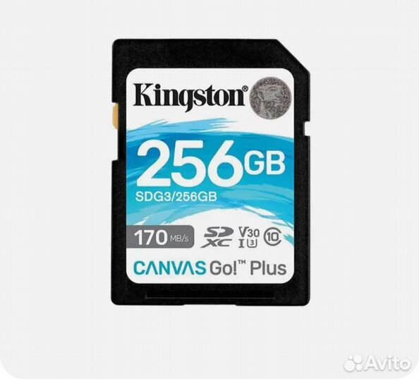 256Gb Kingston Canvas Go Plus sdxc UHS-I