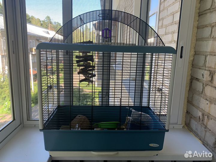 Клетка для птиц Ferplast Palladio 4