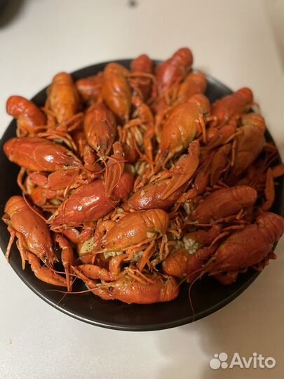 Живые раки оптом