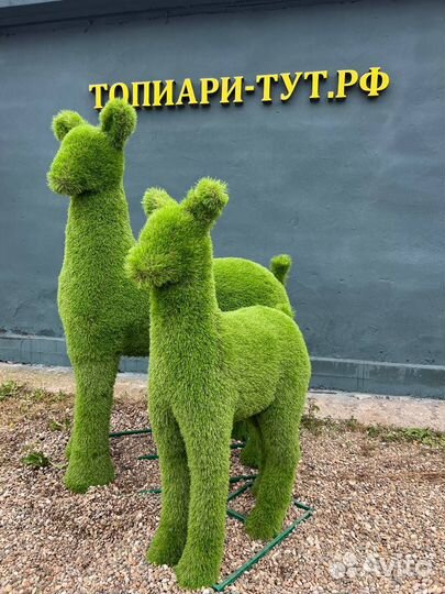 Садовые фигуры Топиари Топиарные фигуры