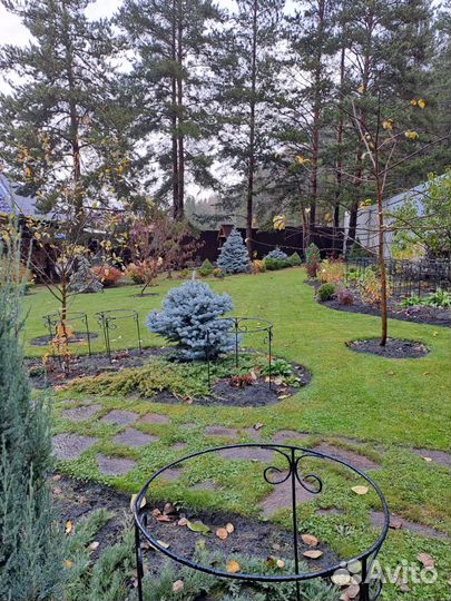 Кустодержатель