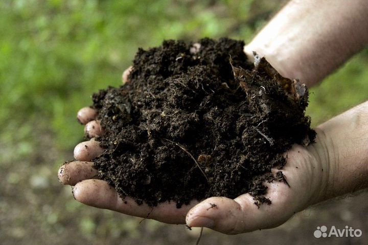 Плодородный грунт, Грунт на засыпку бюджетный