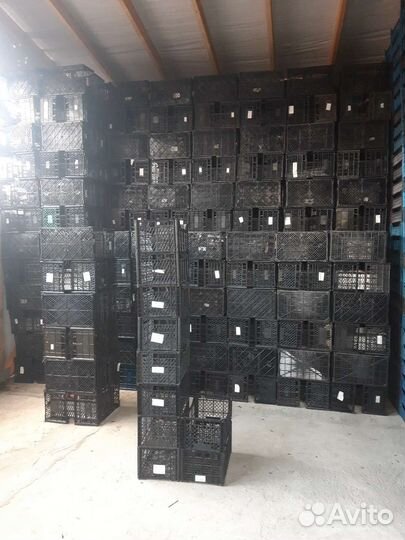 Пластиковые ящики тара для фруктов и овощей